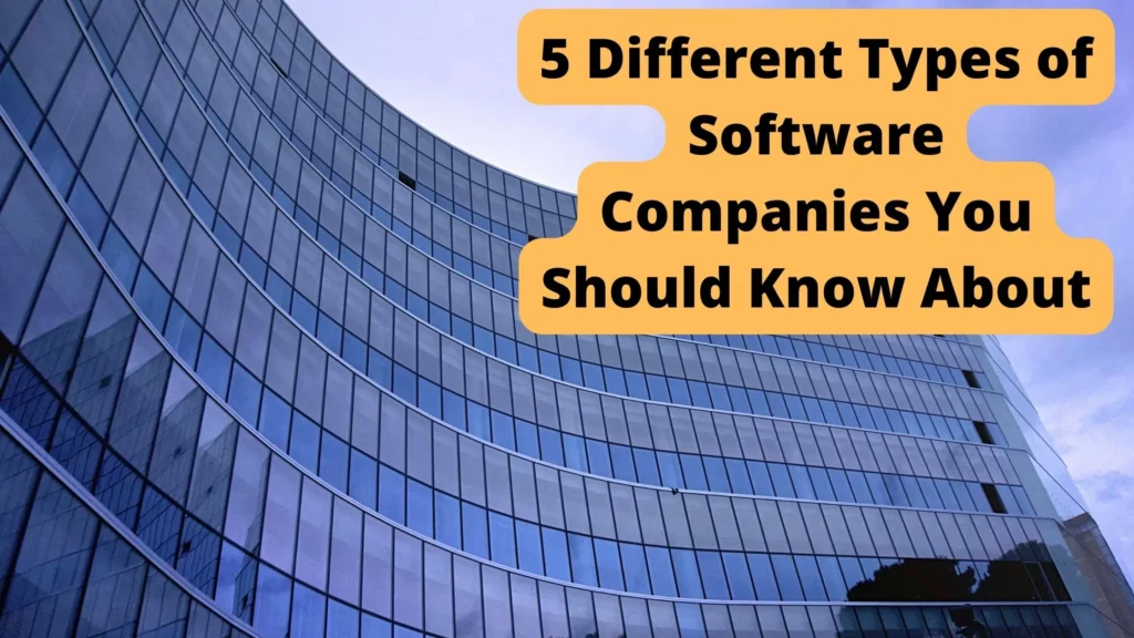 5 Types of Software Companies