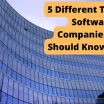 5 Types of Software Companies